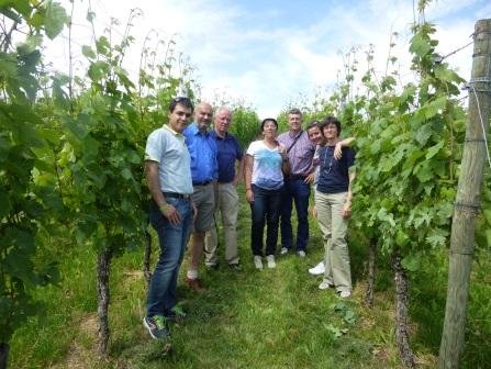 Gruppenfoto in den Reben Internationale Weindegustation 2014